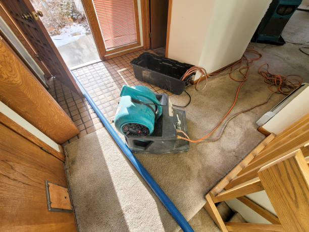 Best Water damage restoration near me  in Lake Wynonah, PA