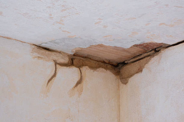 Best Fire Damage Restoration  in Lake Wynonah, PA