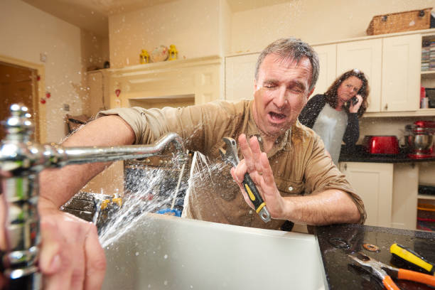 Best Local water damage restoration  in Lake Wynonah, PA